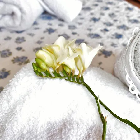 Siel Oneiro House Daire *