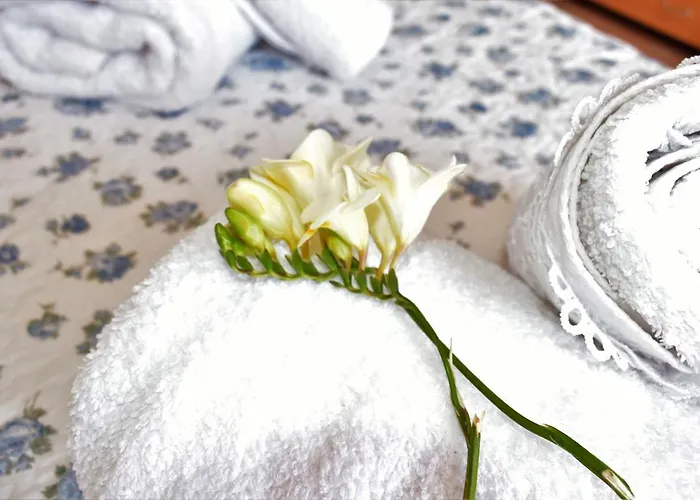 Siel Oneiro House アパート *